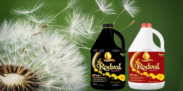 nước giặt hữu cơ Rodval